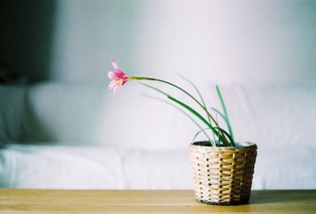 ��õ��Ҹ��������������˰��������ڴ�  ɢ����� 162751qaegeo5sggija9zd