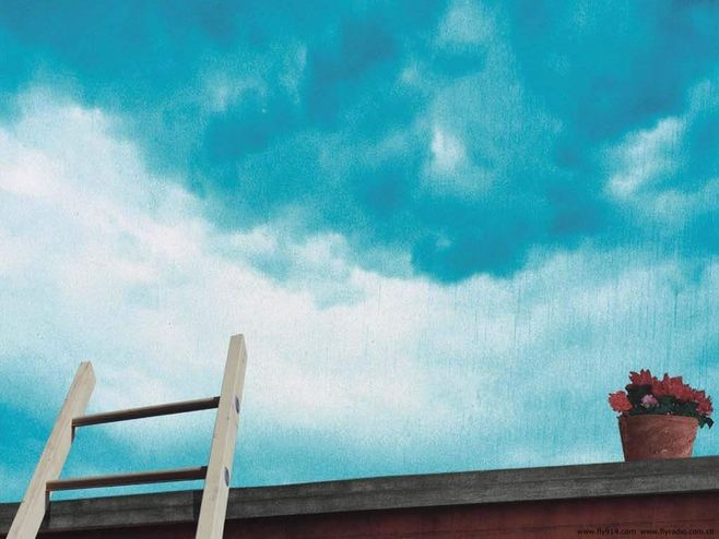 �úúǻ��Լ��ģ��������������  ɢ����� 100244p2komogvnrh22jjz