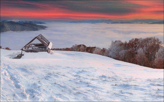 ѩ�У��ǽ��޵ĺ�  �ִ�ʫ�� 