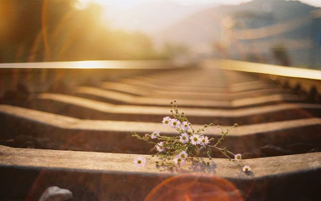 ͯ���ϼ�  ɢ����� 100246ov0pcpcp1a0bllli