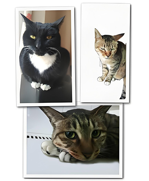 ������-���Ͼ���  ���Ͻ��� 121937utbg14011r11rzz5