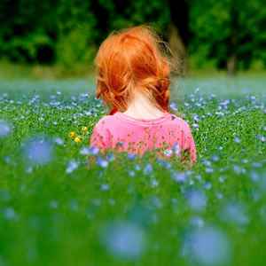 ��ʱ�Ĵ���  ɢ����� 085448hl44qe3w3qrcqfo2