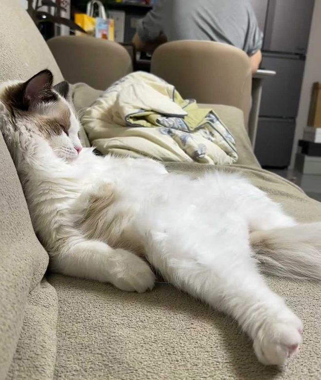 �����ӡ����£�ͨ�ϣ�  ���Ͻ��� 115814b61ddgxnbco6dovr