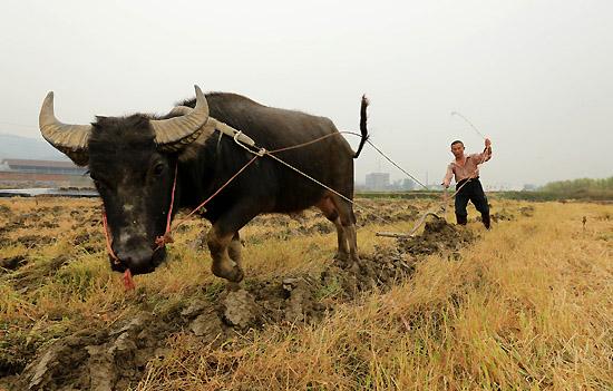 �͸��׵�ũ������  ɢ����� 