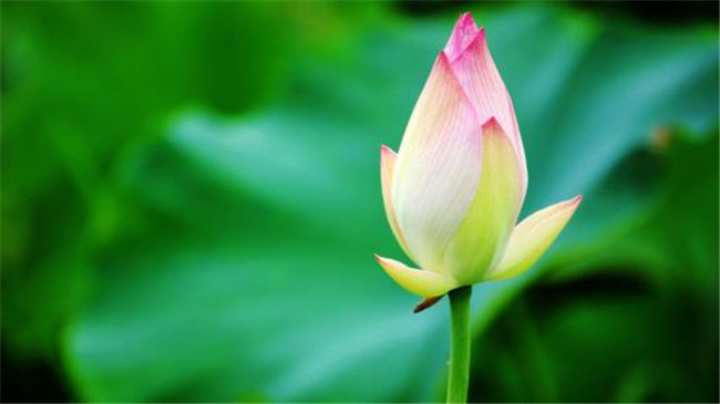 ��������������������壩  ���Ͻ��� 195400edzhgll62pa23pl6