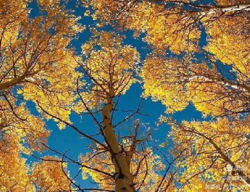 ��ϵ����  ɢ����� 191822nyfrxwrw8yftozow