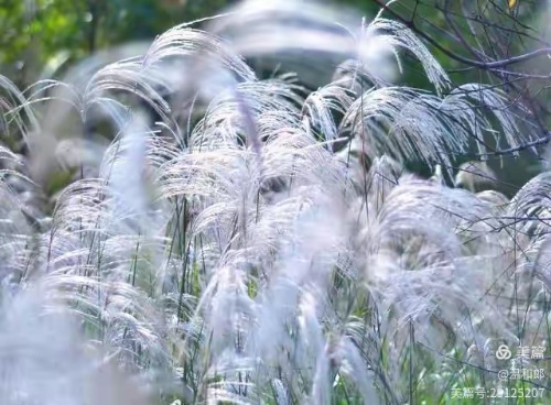 ũ������  ɢ����� 102200gxxz9buxdttkctdj