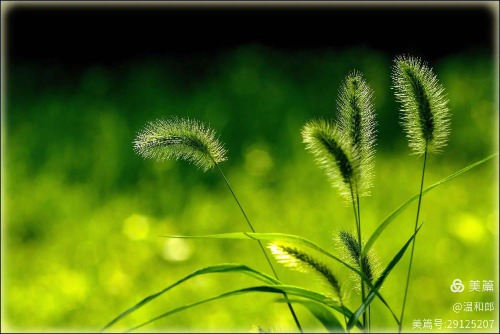 ũ������  ɢ����� 102206gaw7fwadrdaueena