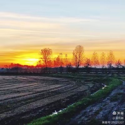 ���ֳ����������ҵ�ͯ��  ɢ����� 145913rv40ayfpp0u0syp6