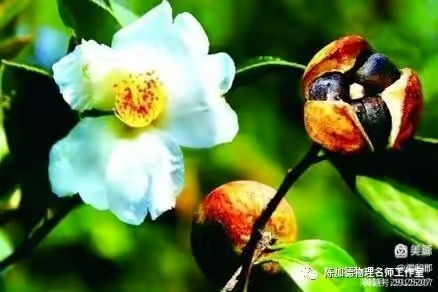 ������Ͳ���  ɢ����� 192324egv6cvqqd2tmmite