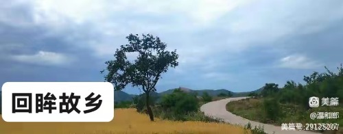 ������Ͳ���  ɢ����� 192344pk2wwpw1pp4212mz