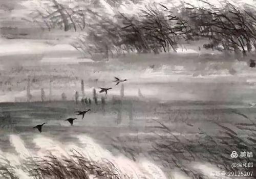 ����ͥ����¶���  ���Ͻ��� 163110z9zkyct02ke599y9