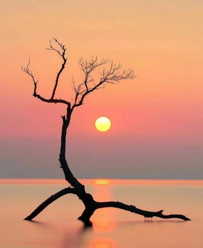 ����ͥ����¶���  ���Ͻ��� 163223wqlqze57dk1soooo