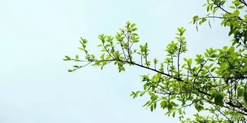 ͯ��Ĵ�ׯ  �ִ�ʫ�� 163512gni8dgbdonlrnbd8