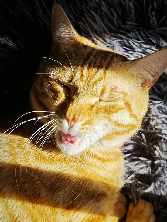 ʱ��24.�������������  �ִ�ʫ�� 115706xps9azrv66sjuu6j