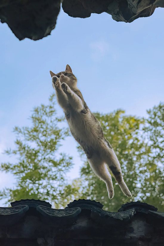 ʱ��25.������Ϳ��Է���  �ִ�ʫ�� 122201in1l25qndnzi2lii