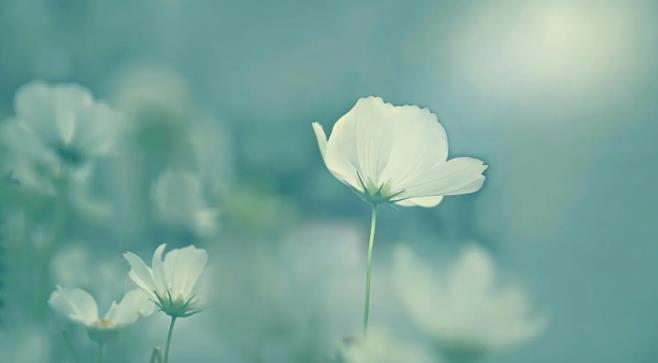 ��һ����ɵ�Ů��  ɢ����� 161307nnx7rxzx7xnoxjjl