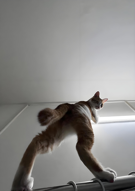 ʱ��28.0.5�Ĺ��  �ִ�ʫ�� 113620gf6mtzdafggtcudw