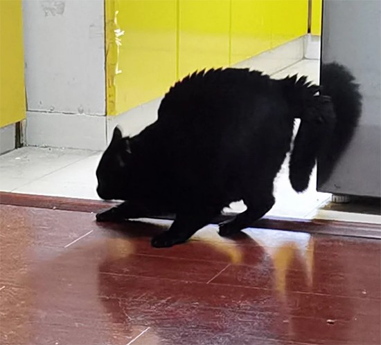 ʱ��29.��ɫ������  �ִ�ʫ�� 115429o000lu9b2cu0dzli