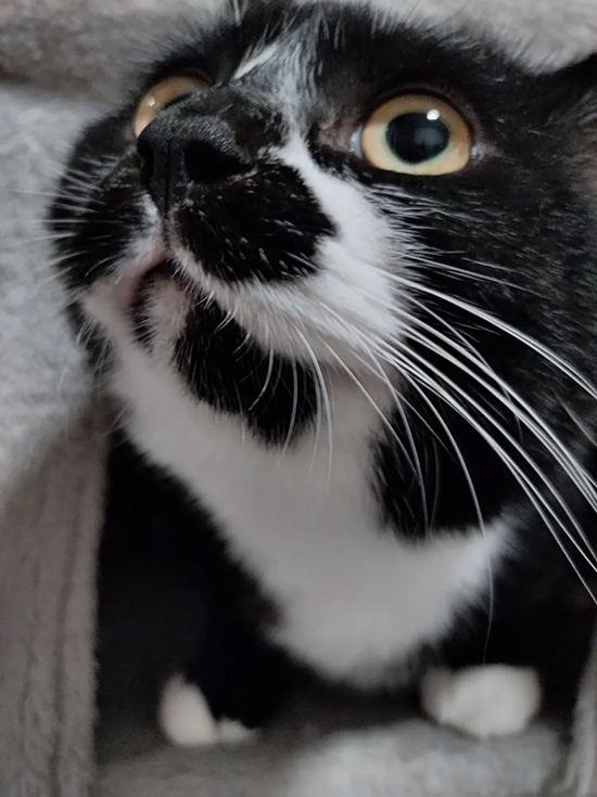 ʱ��30.�ഺ���������  �ִ�ʫ�� 115012wc4lqtx9cxrwp1v9