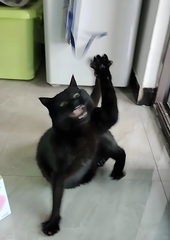 ʱ��31.����  �ִ�ʫ�� 114136bt6rvgpcyc8yvyvc