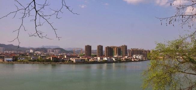 ��ݵı�Ӱ  ɢ����� 100653jsg99gfn90sn9sgc