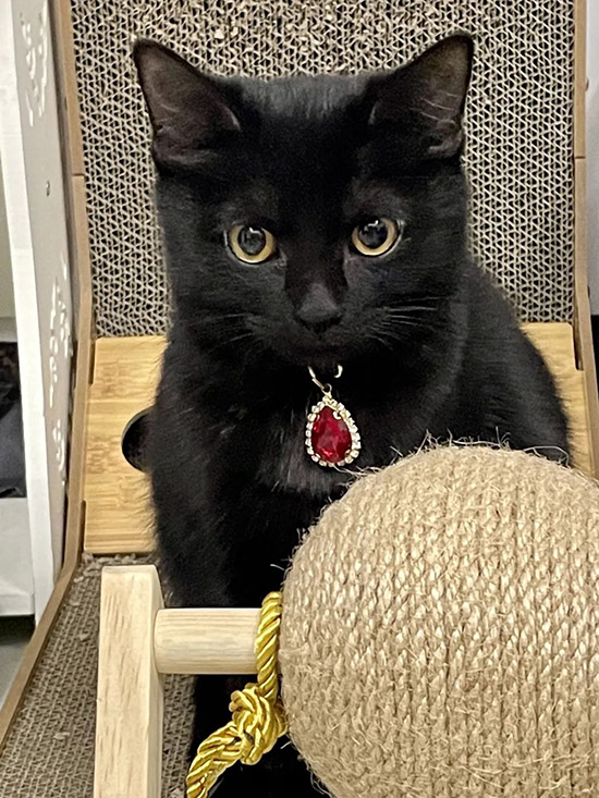 ʱ��32.��ɽ֮��  �ִ�ʫ�� 111124iwv3v2ywwybs8321