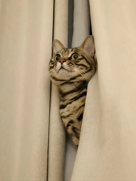 ʱ��33.��  �ִ�ʫ�� 121222nhg39aibgbkb79ei