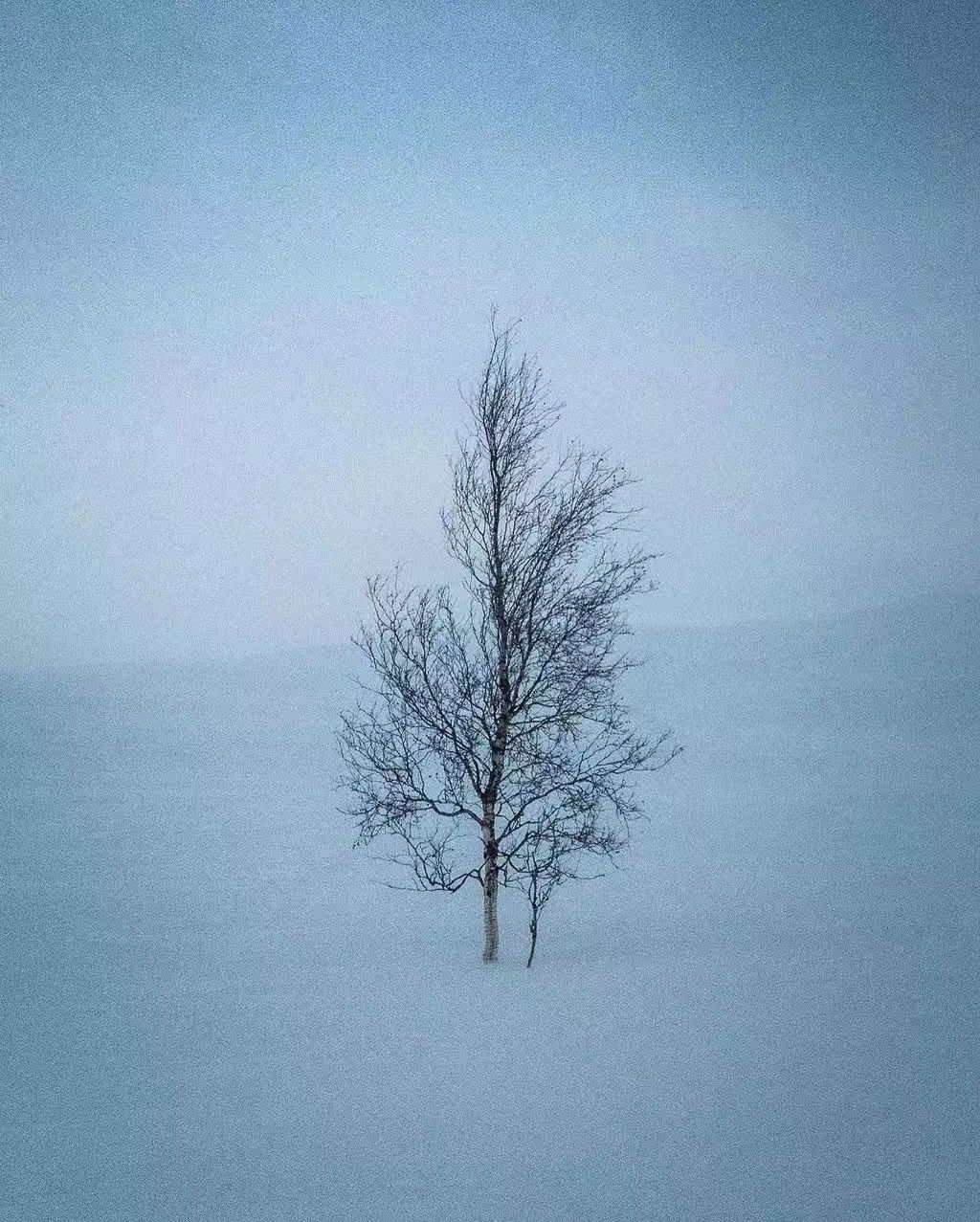 ���׽ڣ���ʫ��  �ִ�ʫ�� 145449s8x9bvkbxbsec1sx