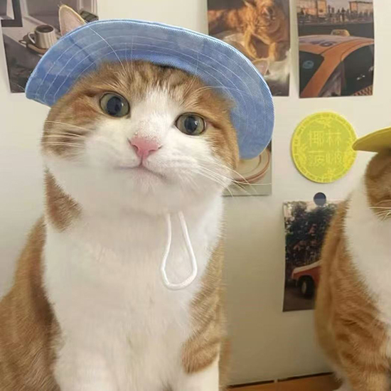 ʱ��35.�ֳ�  �ִ�ʫ�� 110230qmmixlvccdmyiiml