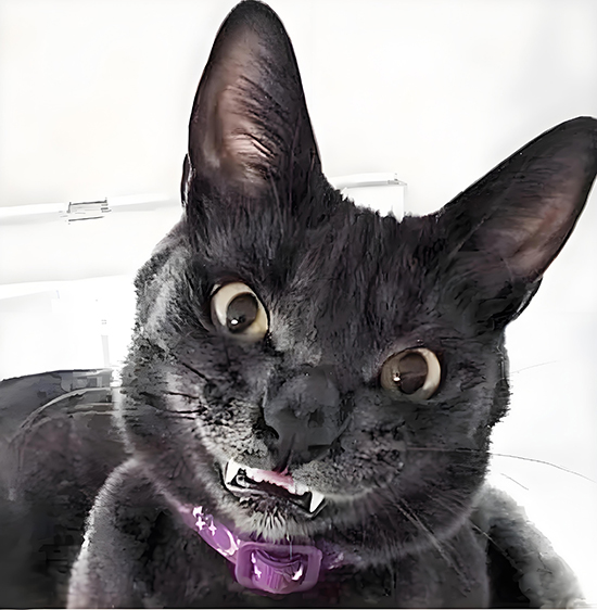 ʱ��36.�ȴ���΢Ц  �ִ�ʫ�� 112011ru0chp8god8px8hn