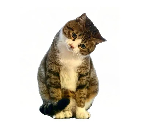 ʱ��37.Ī��������֪��  �ִ�ʫ�� 114646xnxbxofejfjzrbhf