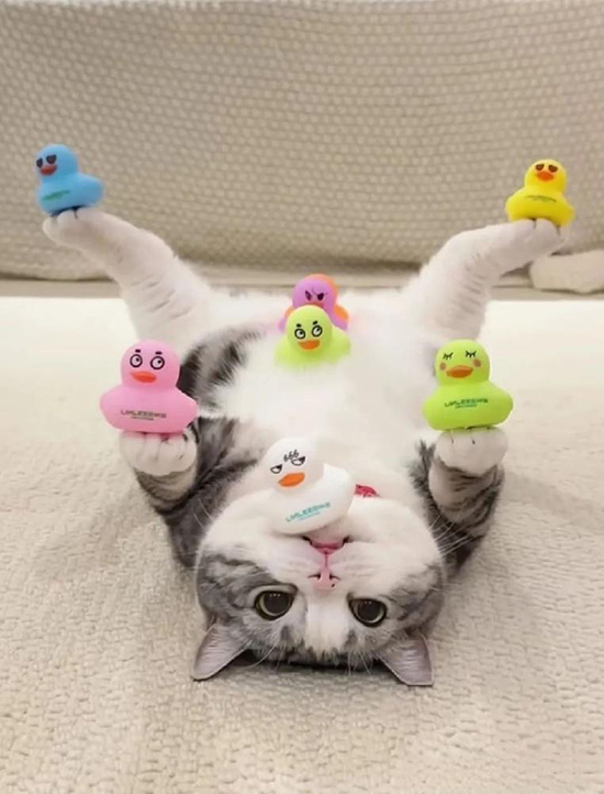 ʱ��38.ƽ���Ǹ�����  �ִ�ʫ�� 113229ywiwtitwkekziumi