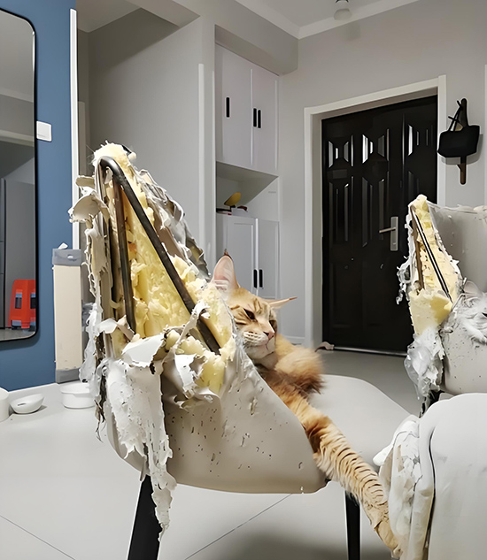 ʱ��40.���������  �ִ�ʫ�� 110234gwt2k77ii3l47i0g