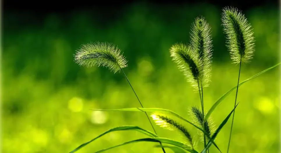 С��������  ɢ����� 085518myvjybjbyymmweym