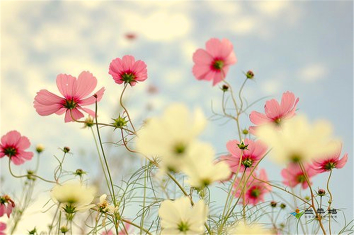 �������������  �ִ�ʫ�� 114553hm7txcgmgocj20xt