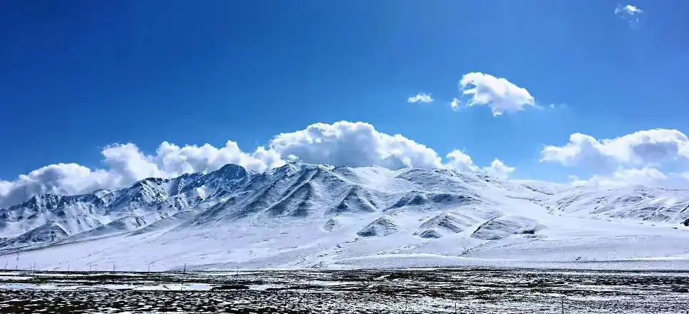 �������������  ɢ����� 144458u2d22pl7llle88wy