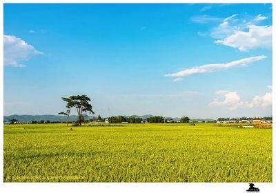 �������������  ɢ����� 144551nihqqtdqbjt2decp