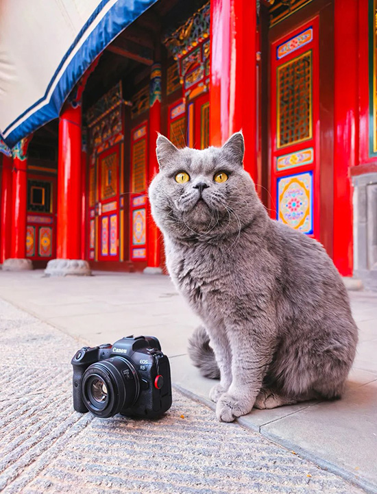 ʱ��42.������ֻ�����  �ִ�ʫ�� 115207kbrsbj5pybs9bh7i