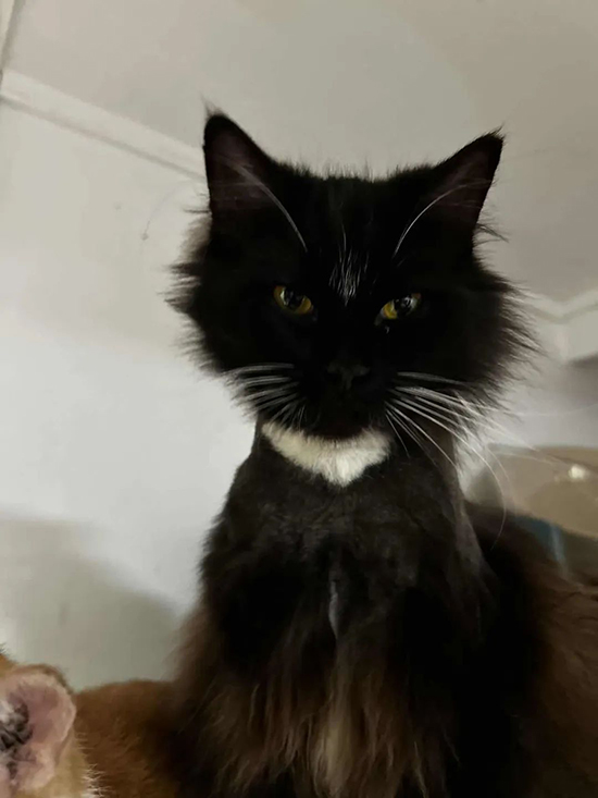 ʱ��43.�ŷ�֮ŭ  �ִ�ʫ�� 112425c3sxyb8w3xynwy00