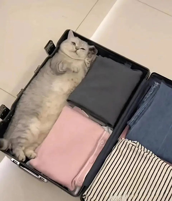 ʱ��44.�Ұ�����  �ִ�ʫ�� 115545wb5bp4w81z6gnpz6