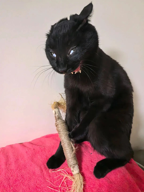 ʱ��45.�Ͷ���  �ִ�ʫ�� 115217xoyovnaxg8eyc0ym