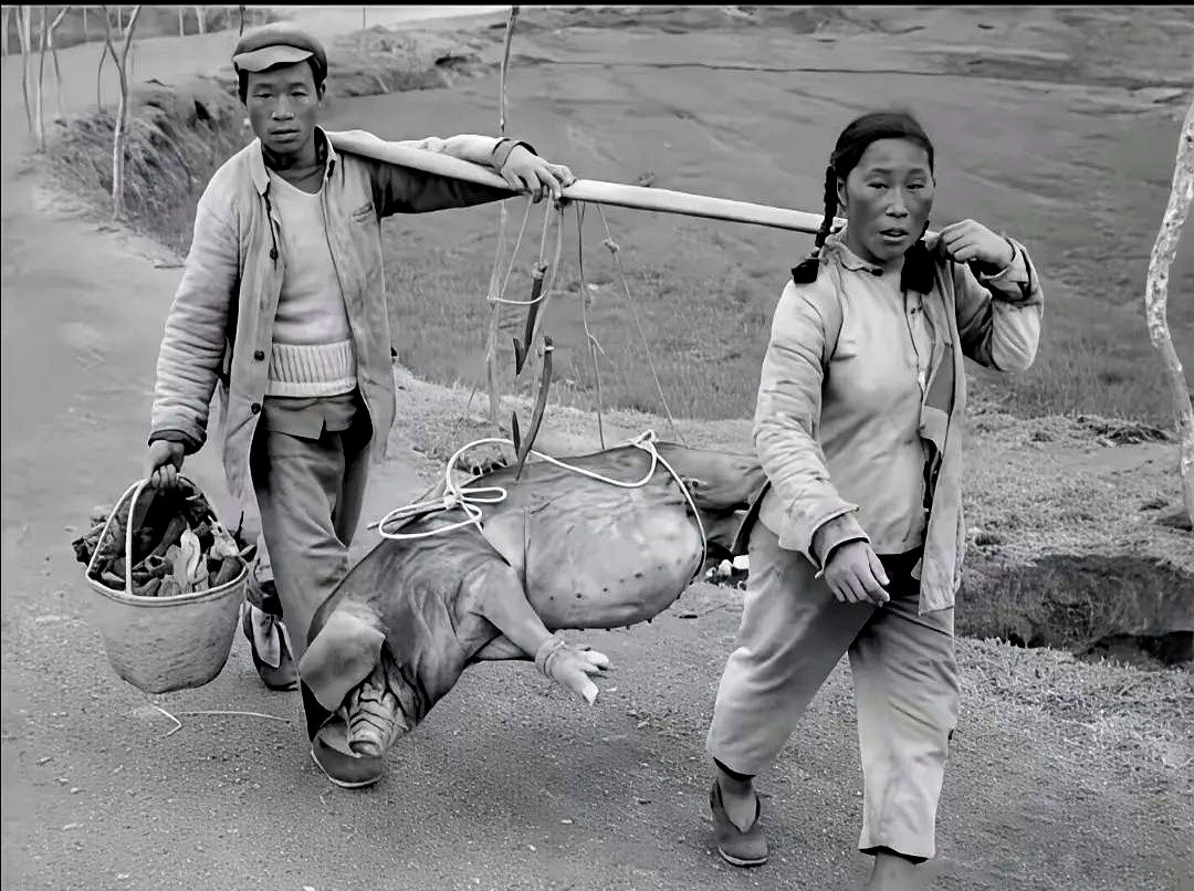 ����  ��ƪС˵ 193205n0pvot7110lppp93