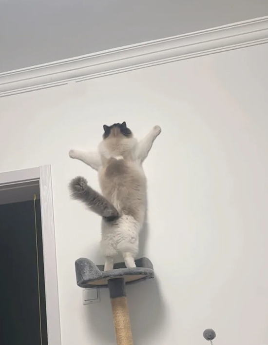 ʱ��46.��Ϊ����  �ִ�ʫ�� 114156wc9zwc3gcqc77qba