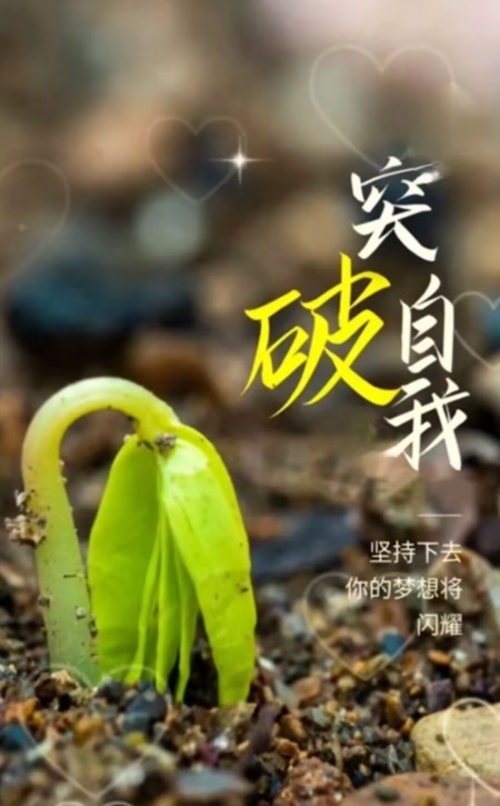 ���ɡ�ͻ��  ���Ͻ��� 215046uj4pjanss3ah8s8g