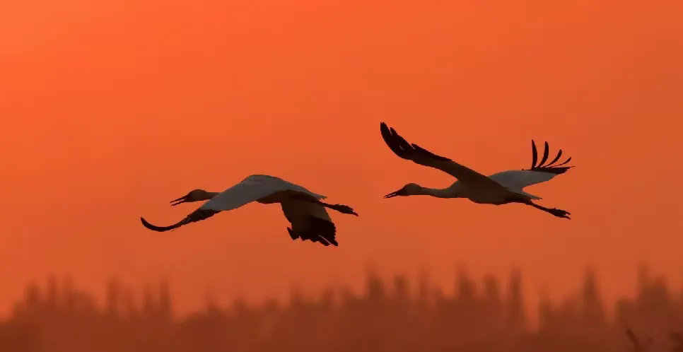 ������Ѱ�š������±���֮һ  ɢ����� 221708ngygyx4qyhf4lyxy