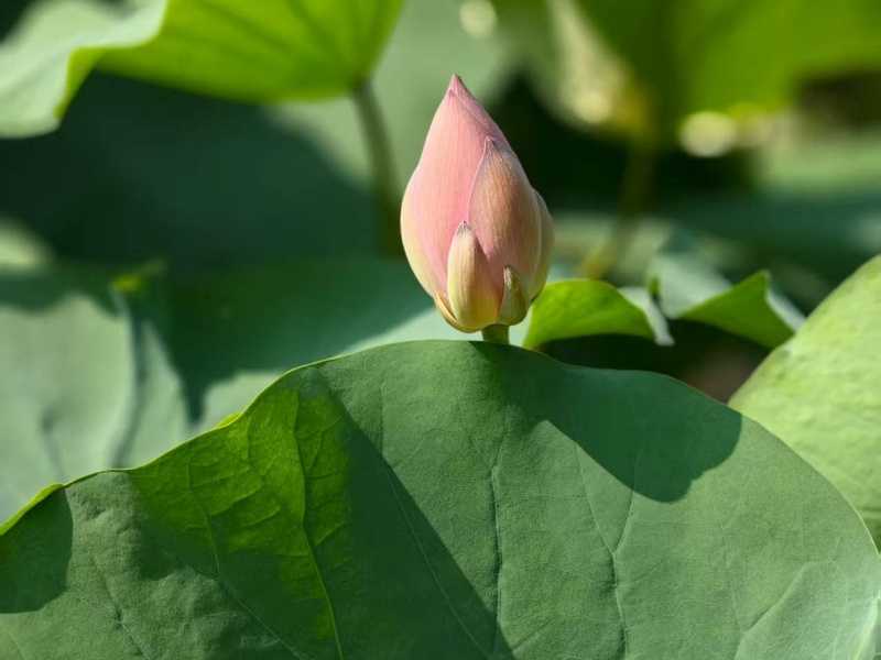 ���պ���  ɢ����� 190752vjzv9xp98zmuo94j