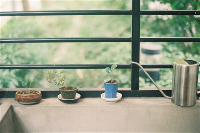 �������֪����  ɢ����� 194607shd7on5oo5gzdogn