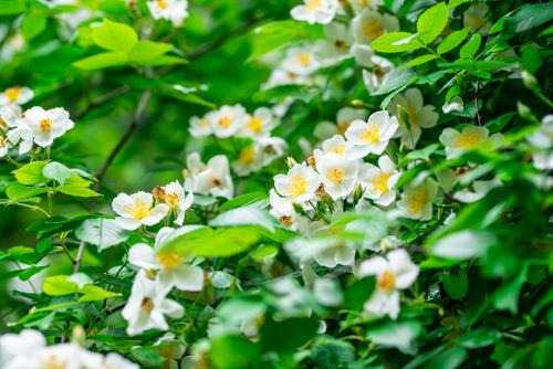 ҰǾޱ  �ִ�ʫ�� 