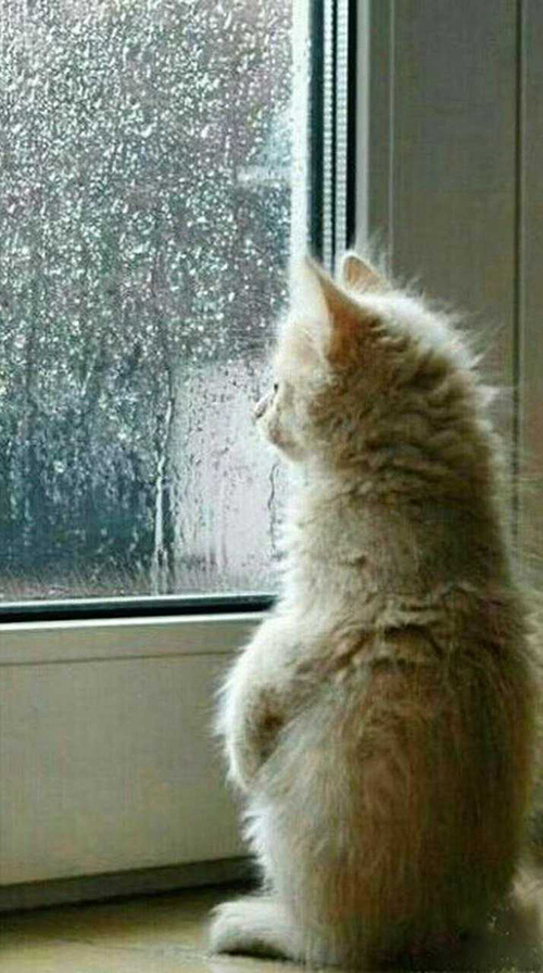 ����  �ִ�ʫ�� 110925pknrmf2knfghrbrh